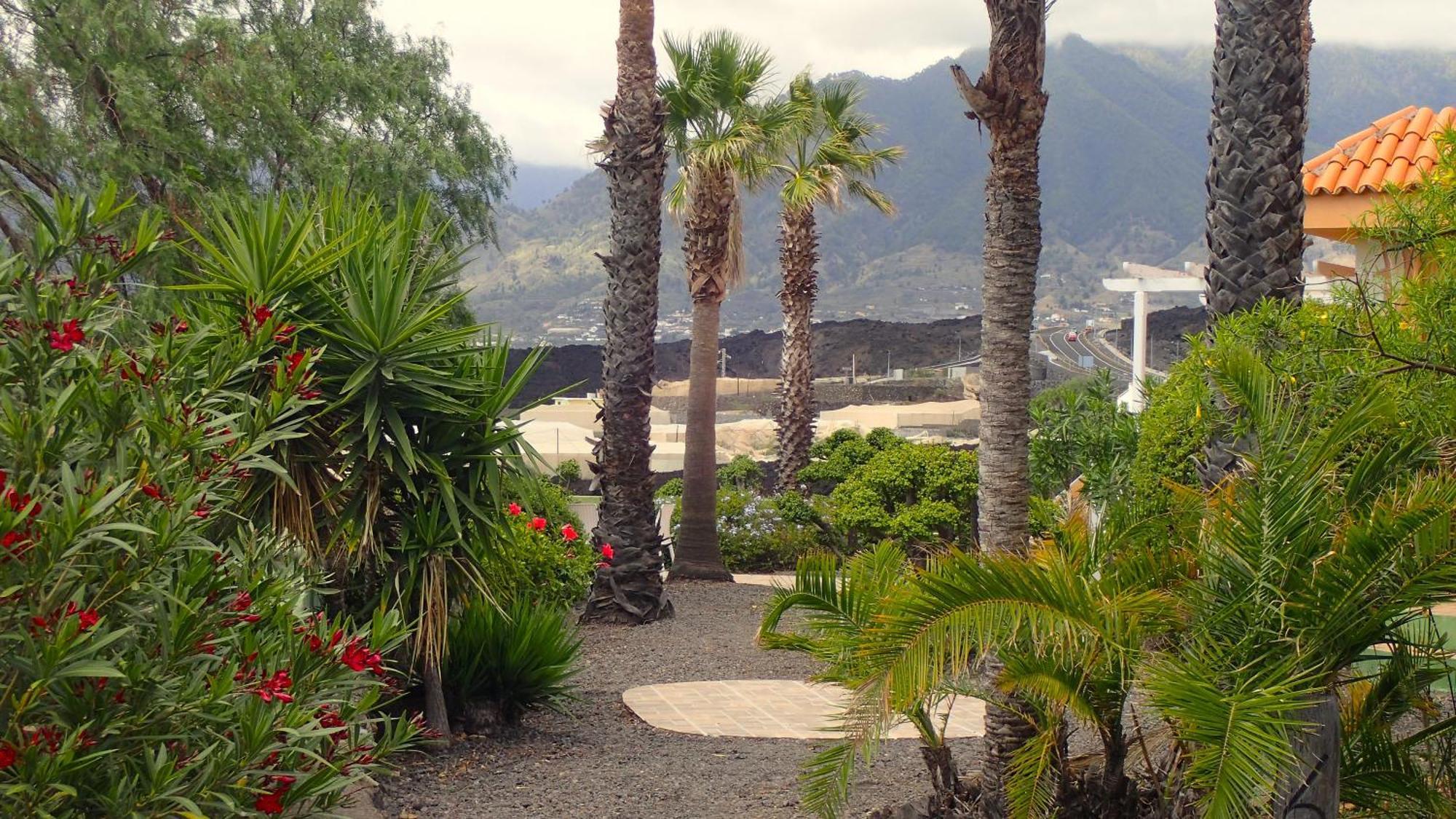Bungalows El Paradiso Tazacorte Extérieur photo